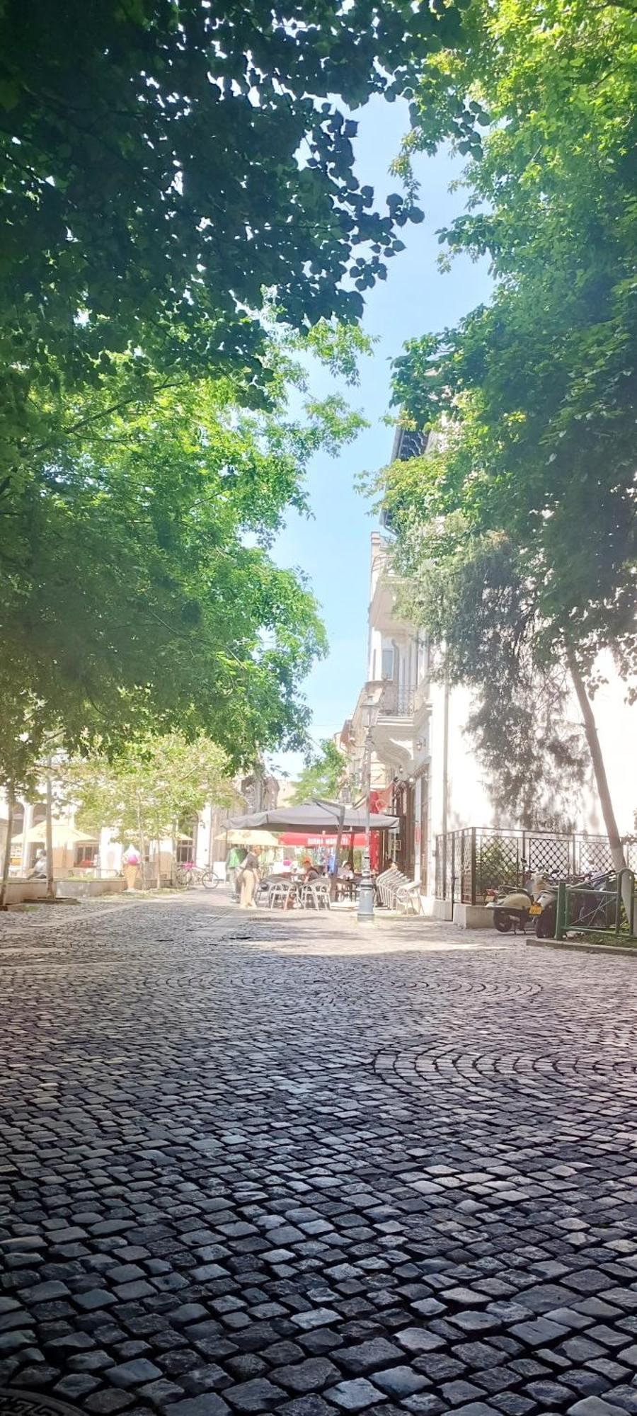 Enchanting Retreat - Historic Old Town - Pet-Friendly Haven - Steps From Unirii Bukarest Eksteriør billede